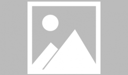 在线h动漫,探索虚拟世界的奇幻之旅