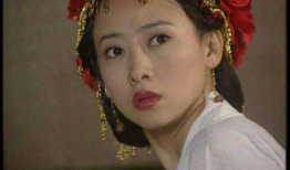 翁虹主演的电视剧,传奇人生，璀璨荧屏