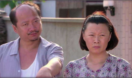 东北农村电视剧,岁月流转中的乡愁记忆