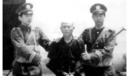 龙治民电视剧,权谋风云下的逆袭传奇