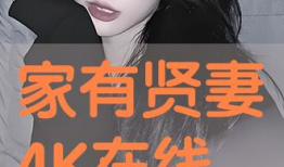 家有贤妻电视剧,温情岁月里的家庭传奇