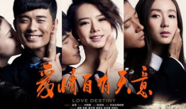 电视剧《爱》,情感交织的人生旅程